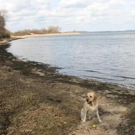 Comfortable Holiday Home On The Bay Of Greifswald * Stahlbrode