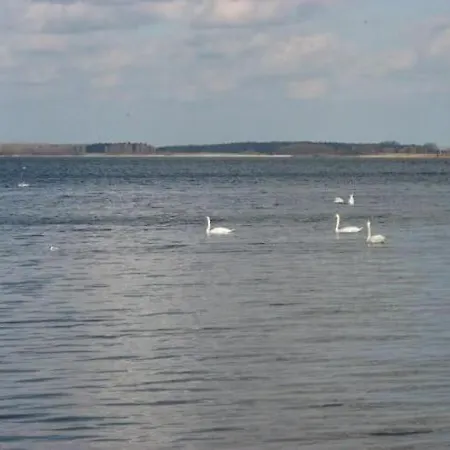 Ferienhaus Comfortable Holiday Home On The Bay Of Greifswald *